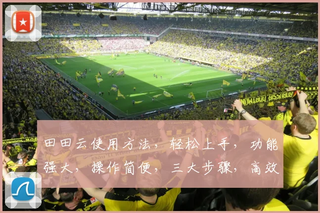 田田云使用方法，轻松上手，功能强大，操作简便，三大步骤，高效办公必备神器，快速实现数据管理。