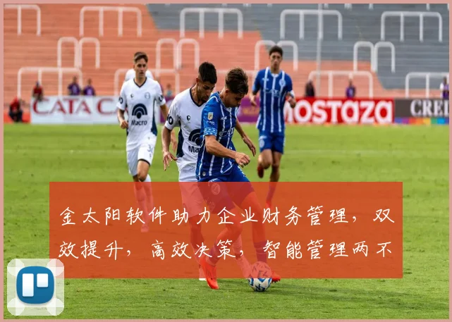 金太阳软件助力企业财务管理，双效提升，高效决策，智能管理两不误，财务效率翻倍增。