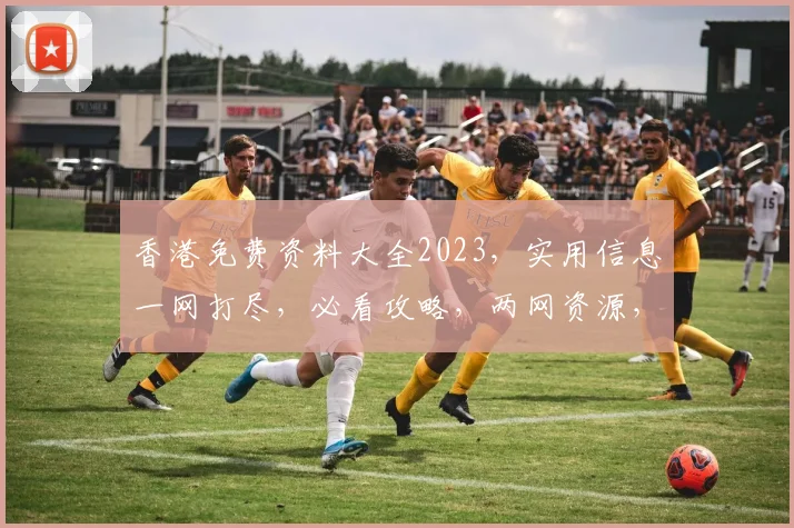 香港免费资料大全2023，实用信息一网打尽，必看攻略，两网资源，一网打尽