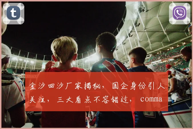 金沙回沙厂家揭秘，国企身份引人关注，三大看点不容错过， commas